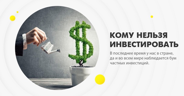 Бизнес-идеи для сочи: какой бизнес открыть в курортном городе