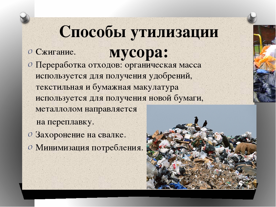 6 примеров переработки мусора в разных странах мира