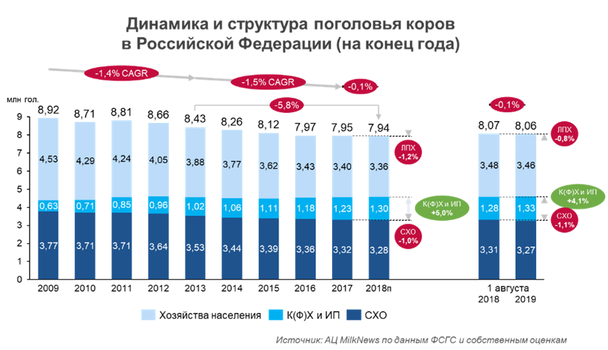 Русские породы коров – кто завез крс в россию