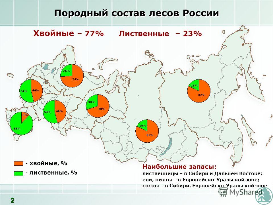 Прирост и убыль населения в россии 2021-2022: таблицы по годам и рейтинги по регионам