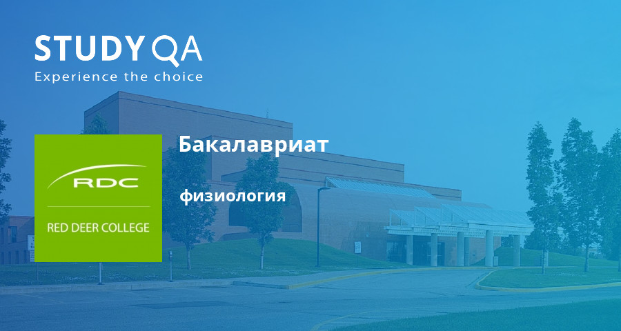 Как попасть студентам на стажировку за границу?