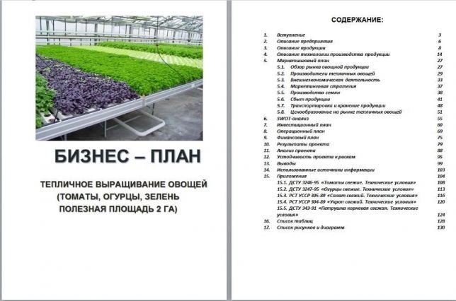 Тепличное хозяйство как бизнес с доходом от 230 000 рублей - бизнес-ок