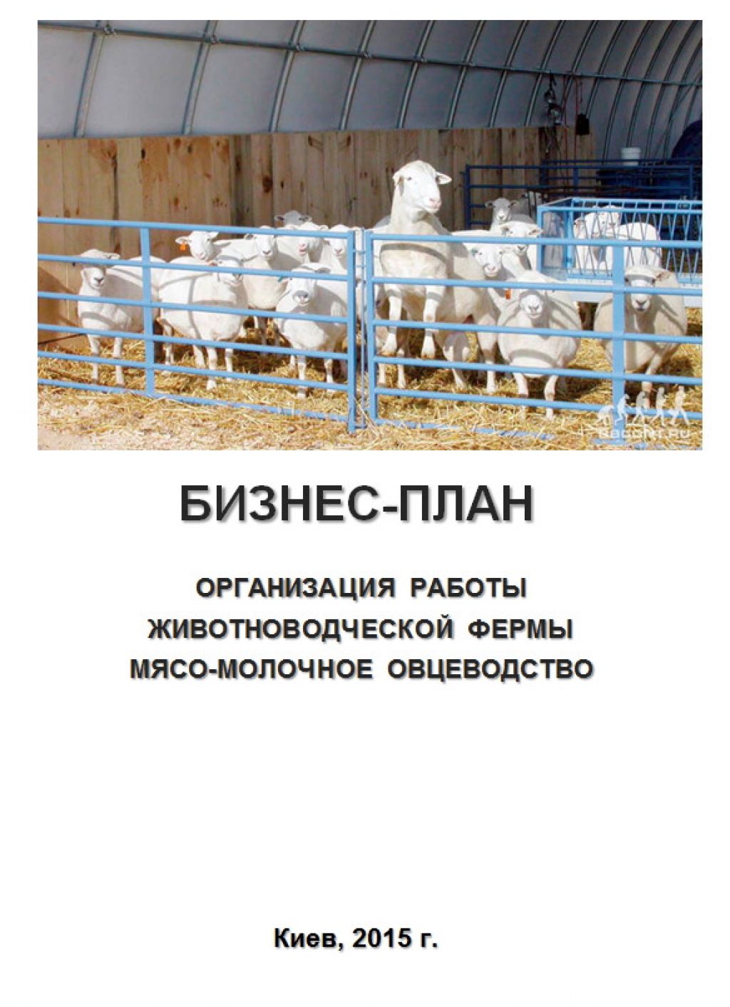 Бизнес-план овцеводства, разведения овец, коз, баранов, козьей фермы, козоводства скачать с готовыми расчетами