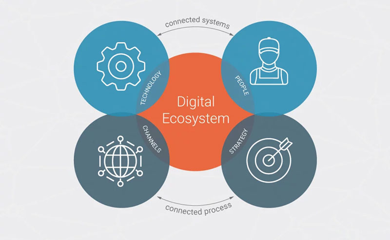 Как цифровые экосистемы помогают бизнесу зарабатывать больше