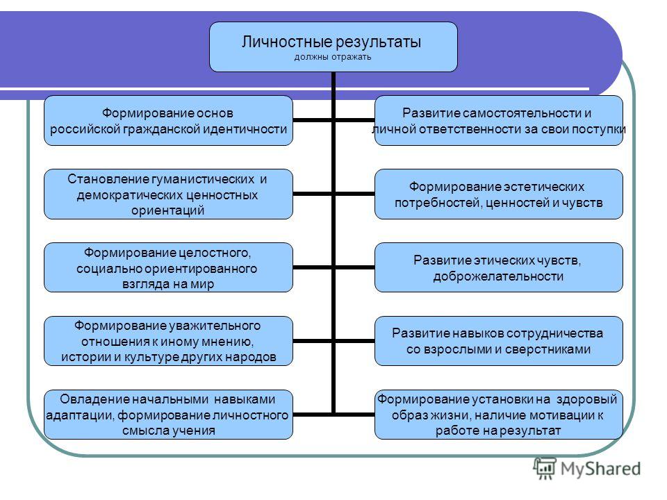 Цифровая медицина в россии: как новые технологии применяются на практике