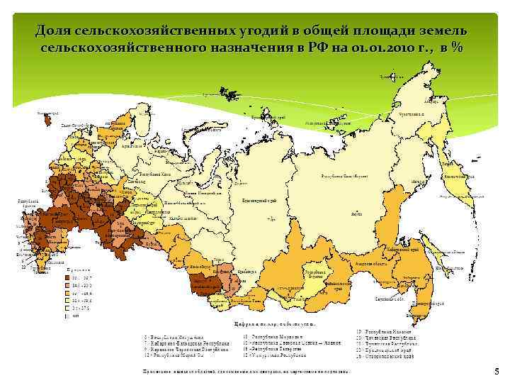 Основные виды сельского хозяйства в россии
