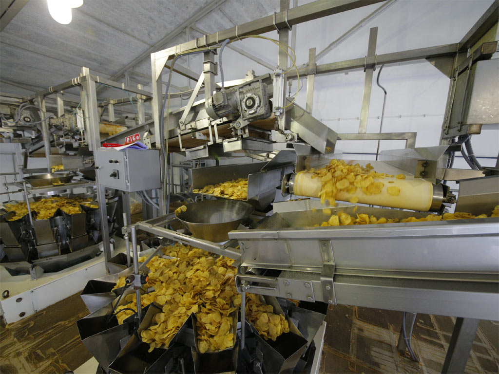 Производство чипсов - картофельных, мясных, фруктовых, яблочных, оборудование и технология изготовления чипсов