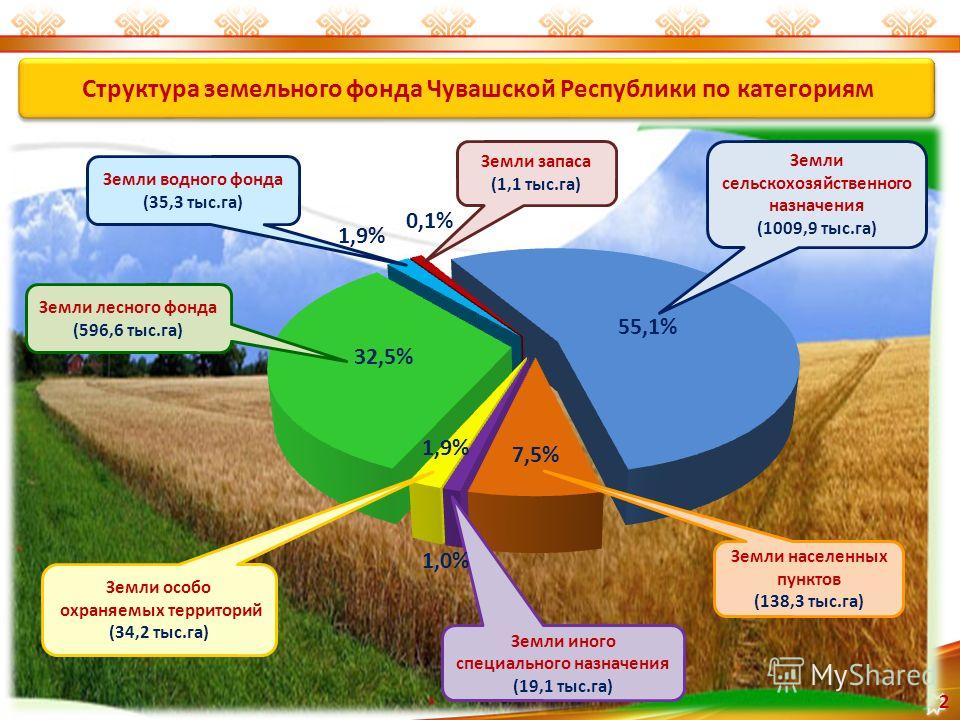 Сельское хозяйство в россии: актуальные сводки, перспективы