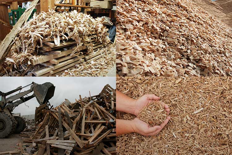 Переработка древесины: технология и необходимое оборудование :: businessman.ru