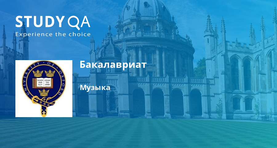 Как студенту найти стажировку и успешно устроится стажером
