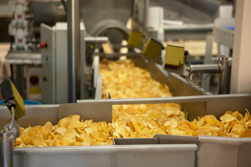 Производство картофельных чипсов: цех, сырье и оборудование